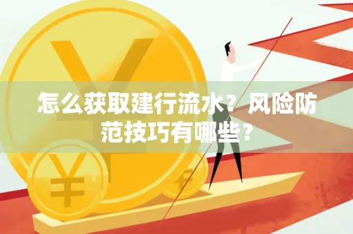 怎么获取建行流水？风险防范技巧有哪些？