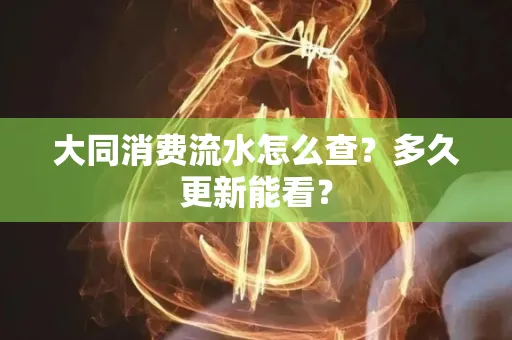 大同消费流水怎么查？多久更新能看？
